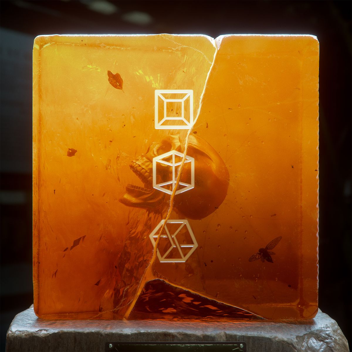 DROELOE's "A Matter Of Perspective" [Review]